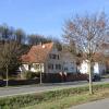 Die vier Ahornbäume am Ortseingang von Himmelstadt stören zwei Anlieger. Der Gemeinderat beschloss, dass sie nur entfernt und durch andere Baumarten ersetzt werden, wenn die Antragssteller die entstehenden Kosten vollständig übernehmen.