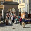 Auf dem Stadthallenvorplatz und im Rathausinnenhof sind 30 Stände aufgebaut. 