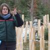 Schutzhülsen aus Holz sind teurer, aber funktioneller – hofft zumindest Revierleiterin Miriam Sauter im Wald von Hendungen. Schutzhülsen aus Holz sind teurer, aber funktioneller – hofft zumindest Revierleiterin Miriam Sauter im Wald von Hendungen.