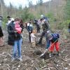 Auch die Kinder waren bei der Baumpflanzaktion involviert. Auch die Kinder waren bei der Baumpflanzaktion involviert.