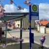 Schöner warten: Auch im Landkreis Kitzingen, wie hier in Großlangheim, wird am Montag der ÖPNV teilweise bestreikt.