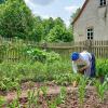 Im Gemüsegarten des Fränkischen Freilandmuseums Fladungen wachsen allerlei Nutzpflanzen. Das Museumsgelände wird bei einer Tauschbörse am 29. April Plattform für selbstgezogene Pflanzen von Besucherinnen und Besuchern.