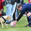 Mario Grom, mit seinen 39 Jahren der "Senior" der SG Brendlorenzen/Windshausen im Spiel gegen den TSV Rothhausen/Thundorf, sichert sich hier das Spielgerät gegen den Vierbeiner. Grom erzielte per Kopf das goldene 1:0 für seine Mannschaft. Mario Grom, mit seinen 39 Jahren der "Senior" der SG Brendlorenzen/Windshausen im Spiel gegen den TSV Rothhausen/Thundorf, sichert sich hier das Spielgerät gegen den Vierbeiner. Grom erzielte per Kopf das goldene 1:0 für seine Mannschaft.