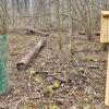 Links der gepflanzte Baum im Bissschutz und rechts das, von den Erstklässlern selbst gestaltete Schild.
