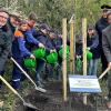 Baumpflanzaktion im Bad Mergentheimer Kurpark mit (von links) Landrat Christof Schauder, OB Udo Glatthaar, Kindern und Jugendlichen der Jugendfeuerwehren Bad Mergentheim und Wachbach, Jochen Herrschlein, Leiter der Jugendfeuerwehren in der Region Heilbronn-Franken, sowie Wolfgang Reinhart, Landtagsvizepräsident und Vorsitzender des Kurverwaltungsrates.