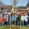 Jungspechte, Bürgermeister und Pfarrer pflanzen einen Maulbeerbaum im Alten Friedhof Billingshausen.