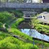 Bachlauf soll begehbar werden: Im unteren Bereich des Klostergartens, wo sich ein Wasserlauf befindet, ist ein Tretbecken geplant.