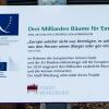 Drei Milliarden Bäume für Europa