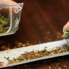 Wegen des Handels mit Marihuana (Beispielbild) stand ein junger Mann kürzlich vor dem Amtsgericht in Kitzingen.