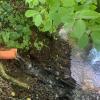 Die kürzlich eingebaute Drainage am Münnerstädter Waschlauerweg nahe dem alten Schwimmbad ist rechtswidrig. Das ist der Stadt Münnerstadt jetzt vom Landratsamt mitgeteilt worden.
