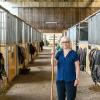 Vorsitzende Doris Fischer sucht für ihren Reitverein Schenkenturm in Würzburg dringend eine neue Heimat. 