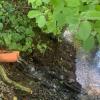 Diese beiden Drainagerohre nahe der Münnerstädter Brunnen sind rechtswidrig eingebaut worden. Allerdings wird der Vorwurf des eigenmächtigen Handelns des städtischen Mitarbeiters nicht aufrecht erhalten.