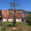 Dieser Platz ist ein Kunstwerk: In Fabrikschleichach hat Herman de Vries ein Sanctuarium mit dem Titel "ödland" eingerichtet. Innerhalb des Speerkreises darf die Natur unabhängig von menschlichen Einflüssen eigene Wege gehen.