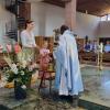 Der Weinbauverein Erlenbach-Tiefenthal hält an dem Brauch der Segnung der "ersten" Weintrauben fest. Weinprinzessin Lisa Rüppel war zum Sonntagsgottesdienst gekommen und trug mit Anni Schätzlein diesjährige Trauben der Erlenbacher Rebsorten zum Altar. Pfarrer Julius Muyimba, in seiner Heimat Uganda gibt es nach eigener Aussage keinen Weinbau, besprengte die Trauben mit Weihwasser und rief den Segen Gottes herab. Dabei bezeichnete er den Wein als die Frucht der Kräfte der Natur und der menschlichen Arbeit, der dem Menschen zur Freude dienen soll. Im Anschluss lud die Weinbauvorsitzende Daniela Kunz zu einer Verkostung Erlenbacher Weine ein, was auch zu persönlichen Gesprächen genutzt wurde.