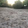 Kein Hauch von Grün zeigt diese von langer Trockenheit gezeichnete Grasfläche. Vielleicht gibt es im Grabfeld kommendes Jahr einen mit Preisen versehenen Wettbewerb um den hässlichsten Rasen.