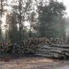 Auch in diesem Jahr erwartet der Markt Remlingen einen großen Bedarf an Brennholz da durch die Waldflurbereinigung ein Einschlagstop im Privatwald besteht.