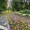 Der Herbst hält Einzug auf dem Parkfriedhof in Mellrichstadt. Auf der terrassenförmig angelegten Ruhestätte sind besonders die neuen pflegefreien Bereiche für Urnenerdbestattungen nachgefragt.