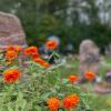 Auf dem Parkfriedhof in Mellrichstadt sind ausreichend Flächen für Sargbestattungen sowie für Urnenerdgräber vorhanden.