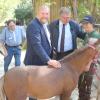 Miteinander von Mensch und Tier: Landrat Thomas Eberth und Landtagsabgeordneter Volkmar Halbleib sprachen beim Rundgang zum 30. Jubiläum des Tierparks mit einigen Beschäftigten des Parks.