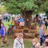 Der Gartenmarkt auf dem Sportgelände des SV Fuchsstadt hat dem Obst-und Gartenbauverein Reichenberg viele Besucher gebracht.