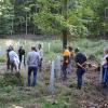 Eine große Schadfläche im "Kaarst" war der erste Besichtigungspunkt beim Himmelstadter Waldbegang. In der Talsenke befielen Borkenkäfer die ehemals dort stehenden Fichten seit 2021 gleich zweimal.