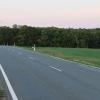In diesem Waldstück zwischen Großrinderfeld und Gerchsheim sollen nach dem Willen des Gemeinderates drei Windkraftanlagen der Energiegenossenschaft Großrinderfeld entstehen.