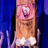 Auch in diesem Jahr lädt die Faschingsgesellschaft Versbach vor jeder Abendsitzung zu einer Galaprunksitzung mit Musik, Tanz, Büttenreden, Speis und Trank in der Pleichachtalhalle in Versbach ein.