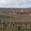 Fünf Gewanne plant der Nordheimer Weinbauverein in die Weinbergsrolle eintragen zu lassen, um damit die besten Lagen hervorzuheben. Den Antrag dazu bewilligte der Gemeinderat in seiner jüngsten Sitzung.