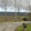 Auf dieser Fläche, hinter den Bäumen, wird der Solarpark entstehen. Ganz rechts ein Nebengebäude vom Aussiedlerhof (Sonnenhof). Zwischen Nebengebäude und der Baumgruppe steht ein Mast der Freileitung. Bis dahin bleibt Freifläche, erst nach dem Mast werden die Module errichtet. Im Hintergrund die Dächer von Altmannsdorf und der Zabelstein.