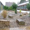 Der Innenhof der Grundschule in Bergtheim mit seinen großen und kleinen Steinen und der kärglichen Bepflanzung soll in diesem Jahr zu einem grünen Klassenzimmer mit Kunstrasen und ausreichend Sitzmöglichkeiten umgestaltet werden. 