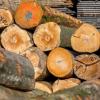 In Rhön-Grabfeld heizen viele Haushalte mit Holz. Wie hoch sind die Preise derzeit?
