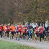 Von 1999 bis 2022 richtete das Laufteam der Turngemeinde Kitzingen im November den Lebkuchenlauf aus. Als Nachfolger startet im März 2024 erstmals der Frühjahrslauf.