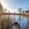 Der Schwarzacher Kulturwanderweg führt durch Acker- und Brachland, Streuobstwiesen, Wald und an der Schwarzach entlang. Hier an der Station 10 im Forst der Gemeinden Schwarzach und Reupelsdorf: die Wasenmeisterei. 