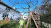 Auf der Leiter ist das Werk vollbracht. Nach über zwei Stunden Rückschnitt präsentierte sich der Kirschbaum im Garten von Waltraut Appelt-Iversen bis auf die Auslichtung des Zweiges links in neuem Look, können nun durch mehr Sonne die Früchte besser reifen und schmecken.