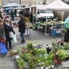 Gemüse und Blumen gehörten zum Angebot des verkaufsoffenen Sonntags in Bad Neustadt.