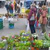 Genuss- und Regionalmarkt im Herzen von Bad Neustadt