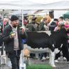 Genuss- und Regionalmarkt im Herzen von Bad Neustadt