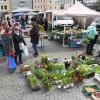 Frisches Gemüse und farbenprächtige Blumen gehörten zum vielseitigen Programm des Marktreibens.