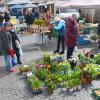 Genuss- und Regionalmarkt im Herzen von Bad Neustadt