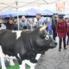 Genuss- und Regionalmarkt im Herzen von Bad Neustadt