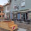 Zwei Amberspalierbäume im rechteckigen Kasten vor dem Restaurant Escavinum Zwei Amberspalierbäume im rechteckigen Kasten vor dem Restaurant Escavinum