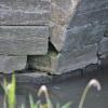 Die Kehlbrücke in Saal war auch Thema in den Bürgerversammlungen in Saal und Waltershausen. Wie weit sie saniert werden soll, muss der Gemeinderat noch entscheiden.