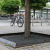 Ein Baum in der Kreuzbergstraße wurde am Mittwoch oder Donnerstag umgefahren.