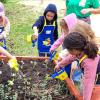 Viel Freude hatten die Vorschulkinder auch beim Gießen, dem krönenden Abschluss der Hochbeet-Pflanzaktion. Viel Freude hatten die Vorschulkinder auch beim Gießen, dem krönenden Abschluss der Hochbeet-Pflanzaktion.