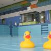 Im Aqua-sole in Kitzingen brechen neue Zeiten an: Die Kitzinger Stadtbetriebe übernehmen dort spätestens in einem Jahr wieder das Kommando.