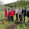 Zum Tag des Baumes pflanzte der Kreisverband für Gartenbau und Landespflege Würzburg eine Mehlbeere im Vereinsgarten des OGV Thüngersheim. Die Geschäftsführerin Jessica Tokarek (ganz links) erhielt dabei Unterstützung von den Mitgliedern des örtlichen Vereins sowie von Landrat Thomas Eberth (5.v.l.), Altlandrat Eberhard Nuß (3.v.r.) und Bürgermeister Michael Röhm (rechts).