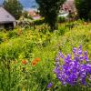 Landwirtschaftliche Flächen der Stadt Karlstadt sollen unter Bedingungen verpachtet werden, die möglichst der Biodiversität zuträglich sind.