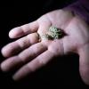Fast 100 Gramm Marihuana hatte ein junger Mann dabei, als er im Zug kontrolliert wurde - zu viel für den Eigenbedarf. Jetzt stand er in Kitzingen vor Gericht