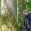 Ehrfürchtig machen die Eichen, die bald als "Kronjuwelen" des Hendungener Waldes bei der Wertholzversteigerung präsentiert werden. Ehrfürchtig machen die Eichen, die bald als "Kronjuwelen" des Hendungener Waldes bei der Wertholzversteigerung präsentiert werden.