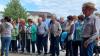 Besuchergruppe vor dem Offenstall der hochträchtigen Mutterkühe.